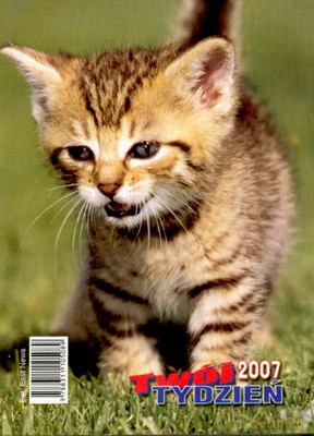 2007 Kal. Twój Tydzień B7 Stojący