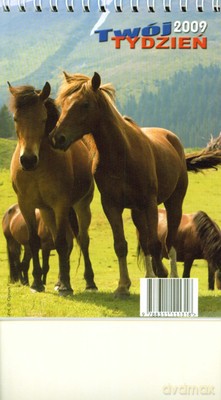 2009 Kal. Kalendarz Twój Tydzień Biurowy B6