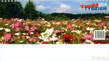 2010 Kal. Na Biurko Twój Tydzień 1/2 A4