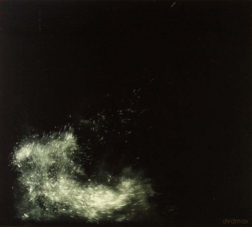 Fink: Horizontalism [CD]