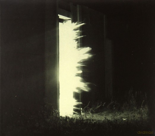 Fink: Horizontalism [CD]