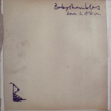 Babyshambles: Down In Albion [Winyl]