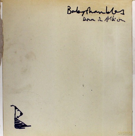 Babyshambles: Down In Albion [Winyl]