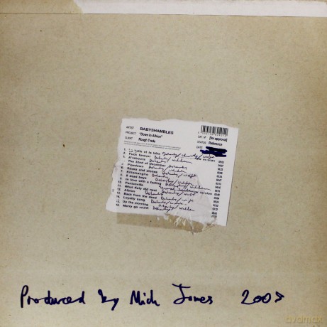 Babyshambles: Down In Albion [Winyl]