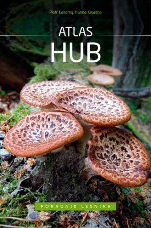 Atlas Hub - Piotr Łakomy, Hanna Kwaśna [KSIĄŻKA]