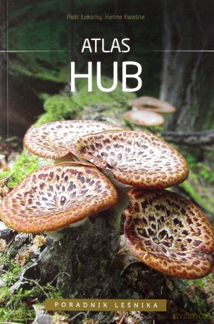 Atlas Hub - Piotr Łakomy, Hanna Kwaśna [KSIĄŻKA]