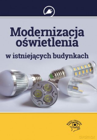 Modernizacja Oświetlenia w Istniejących Budynkach - Janusz Strzyżewski [KSIĄŻKA]