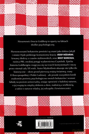 Niesamowici Bracia Goldberg - Wojtek Biedroń [KSIĄŻKA]