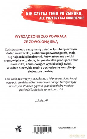 Płytkie Nacięcie - Karin Slaughter [KSIĄŻKA]