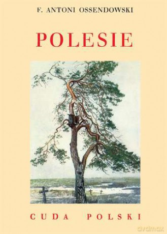 Polesie - Antoni Ferdynand Ossendowski [KSIĄŻKA]