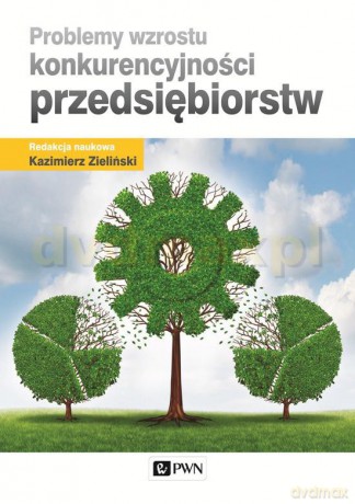 Problemy Wzrostu Konkurencyjności Przedsiębiorstw - Kazimierz Zieliński [KSIĄŻKA]