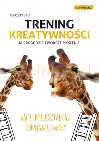 Trening Kreatywności Jak Pobudzić Twórcze Myślenie Samo Sedno - Agnieszka Biela [KSIĄŻKA]