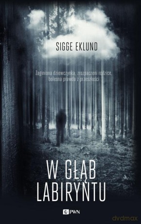W Głąb Labiryntu - Sigge Eklund [KSIĄŻKA]
