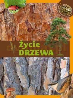 Życie Drzewa - Grzegorz Okołów [KSIĄŻKA]