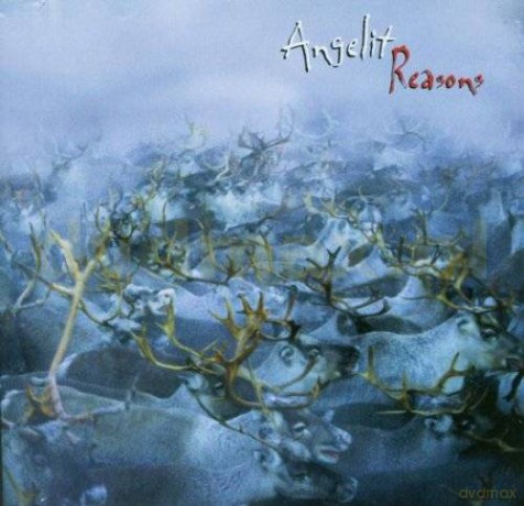 Angelit: Reasons [CD]