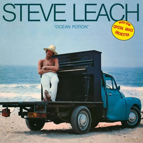 Leach,Steve With The Crystal Grass Orchestra: Ocean Potion [Winyl]