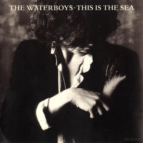 The Waterboys: This Is The Sea [Winyl]