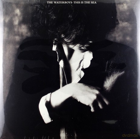 The Waterboys: This Is The Sea [Winyl]