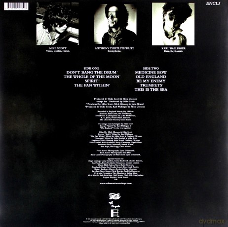 The Waterboys: This Is The Sea [Winyl]