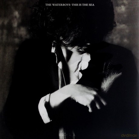 The Waterboys: This Is The Sea [Winyl]