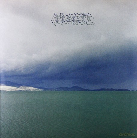 Modest Mouse: The Fruit That Ate Itself [Winyl]