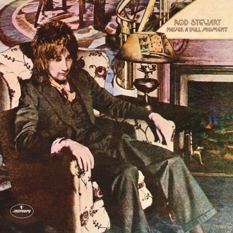 Rod Stewart: Never A Dull Moment [Winyl]