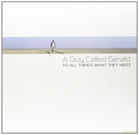 A Guy Called Gerald: To All Things What They Need [2xWinyl]
