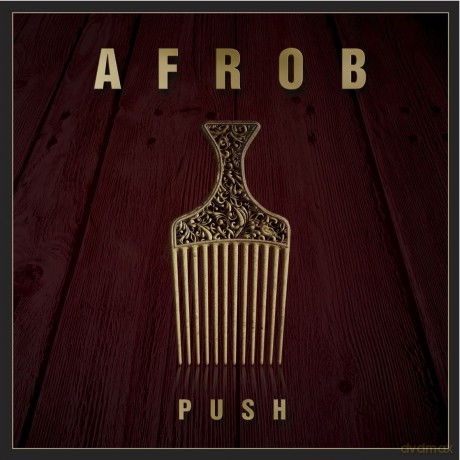Afrob: Push [CD]