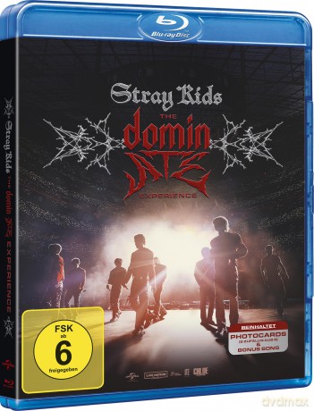 Stray Kids: The Dominate Experience [Blu-Ray]