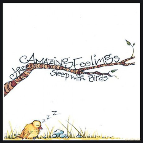 Amazing Feelings: Sleep With Birds [CD]