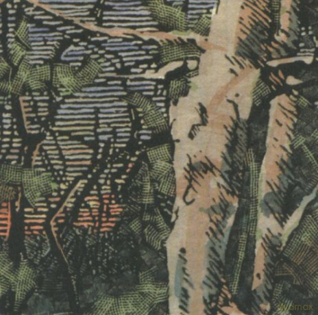 Anomoanon: Asleep Many Years In The Wood [CD]