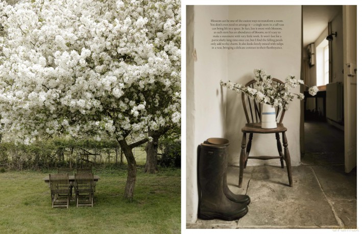 A Country Style: living and creating with nature through the seasons - Harriet Thistlethwayte [KSIĄŻKA]