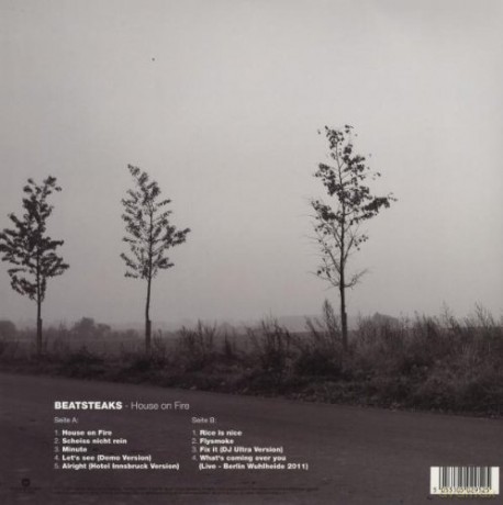 Beatsteaks: House On Fire [Winyl]