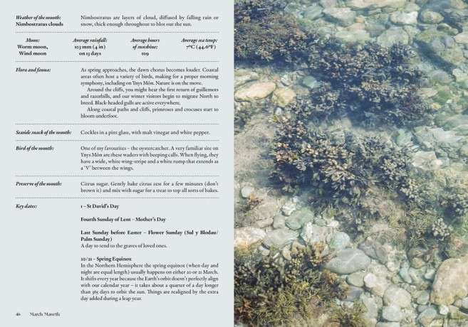 The Coastal Almanac: The ultimate guide to a year by the sea - Jess Lea-Wilson [KSIĄŻKA]