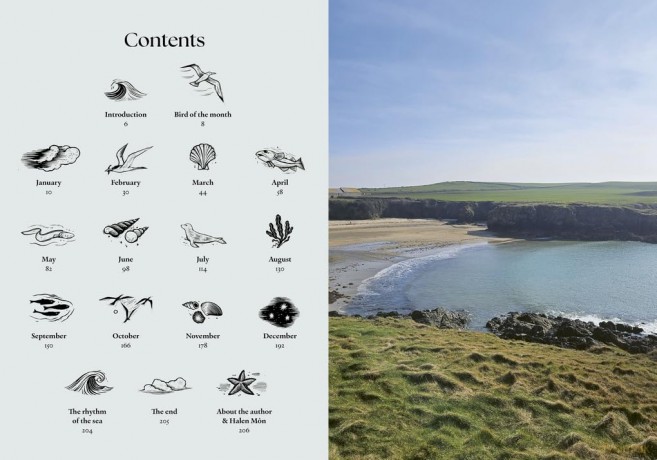 The Coastal Almanac: The ultimate guide to a year by the sea - Jess Lea-Wilson [KSIĄŻKA]