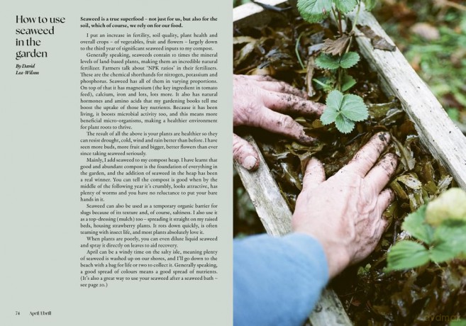 The Coastal Almanac: The ultimate guide to a year by the sea - Jess Lea-Wilson [KSIĄŻKA]