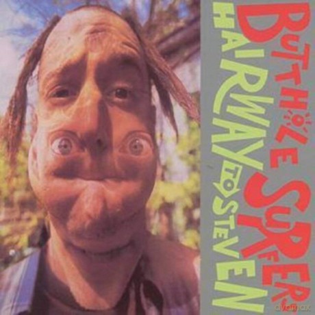 Butthole Surfers: Hairway To Steven [CD]