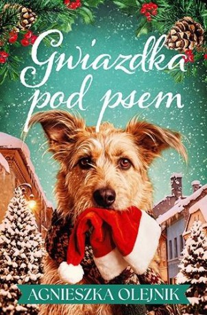 Gwiazdka pod psem - Agnieszka Olejnik [KSIĄŻKA]