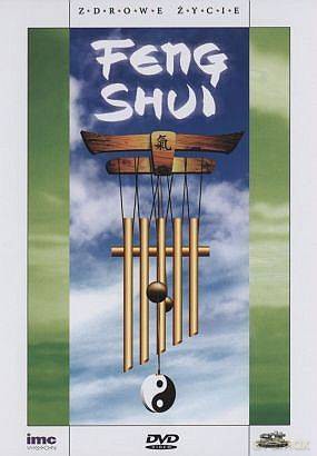 Feng Shui (2005)