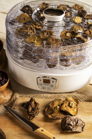 CR 6659 Suszarka do grzybów, ziół i żywności - dehydrator