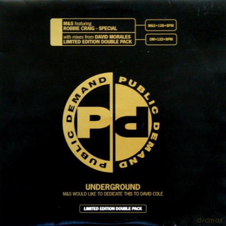 Craig Robbie: Special Remixes [Winyl]