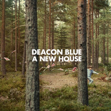 Deacon Blue: A New House [Winyl]