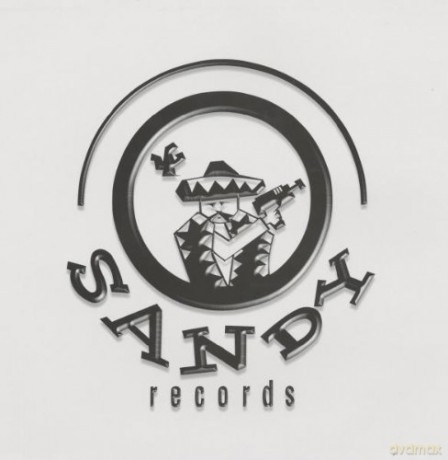 Disco Groove Technology: Please Ok Sound [Winyl]