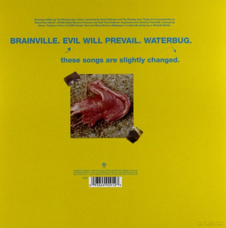 Flaming Lips: Brainville - Rsd 2015 Release (RSD) [Winyl]