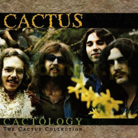 Cactus: Cactology [CD]