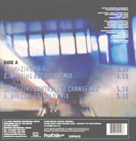 Flightcrank: Amazing [Winyl]