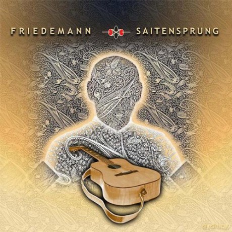 Friedemann: Saitensprung [Winyl]