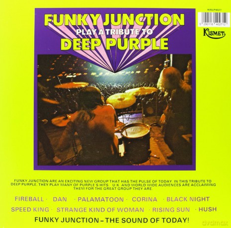 Funky Junction: Play A Tribute To Deep Purple [Winyl]