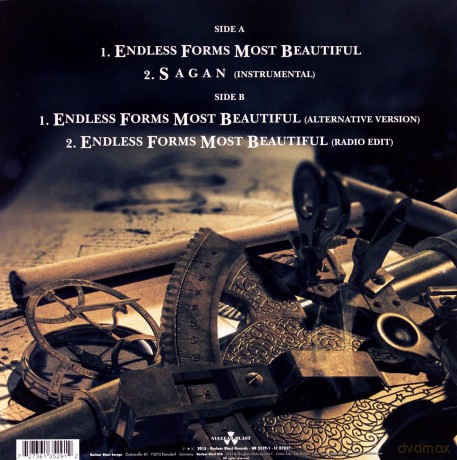 Nightwish: Endless Forms Most Beautiful [Winyl]