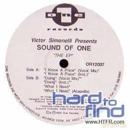 Hidden Sound System: I Know [Winyl]